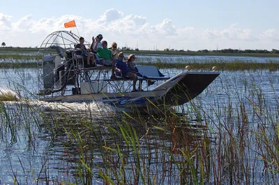 Exclusive Everglades Adventure: Private Airboat Tour & Wildlife Encounter