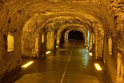 Indulge in Luxury: Private Champagne Tour from Paris with Moët & Chandon
