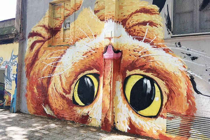 Experience Image img4