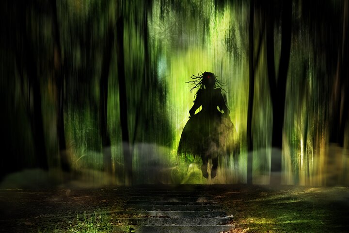 Experience Image img4