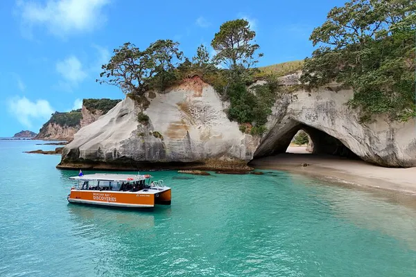 Cathedral Cove Eco-Adventure: Explore Coast & Caves in Comfort!