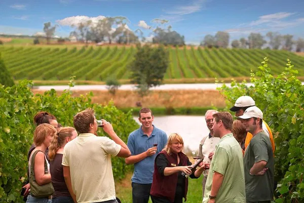 Yarra Valley Wine Tour: Tastings & Lunch from Melbourne