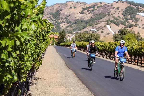 Napa Valley: Bike & Wine Tour in Calistoga