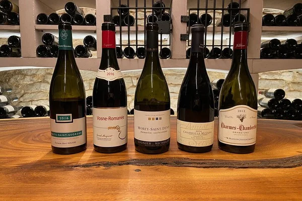 Côte de Nuits: Unveiling Burgundy's Pinot Noir Magic