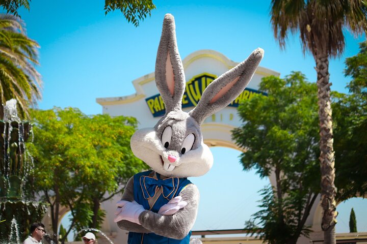 Experience Image img2