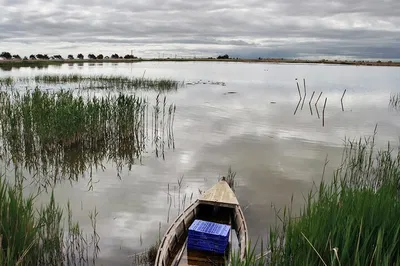Discover Ebro Delta's Avian Wonders: A Bird Watching Expedition