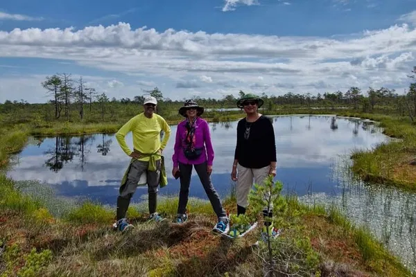 Discover Estonia's Mystical Bogs: An Unforgettable Hiking Adventure