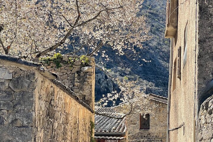 Experience Image img3