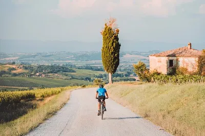 Tuscany Bike & Wine Tour: Nobile's Path Adventure