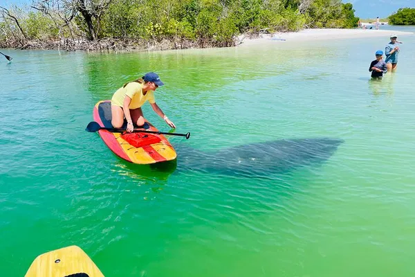 Dolphin & Manatee Adventure Tour - Fort Myers Waterways!