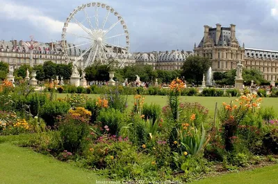 Uncover Paris's WWII Secrets: A Private Historical Walking Tour