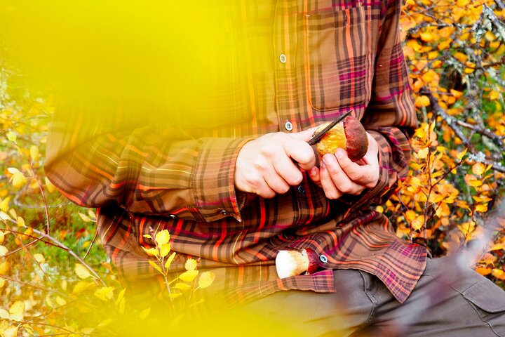 Experience Image img1