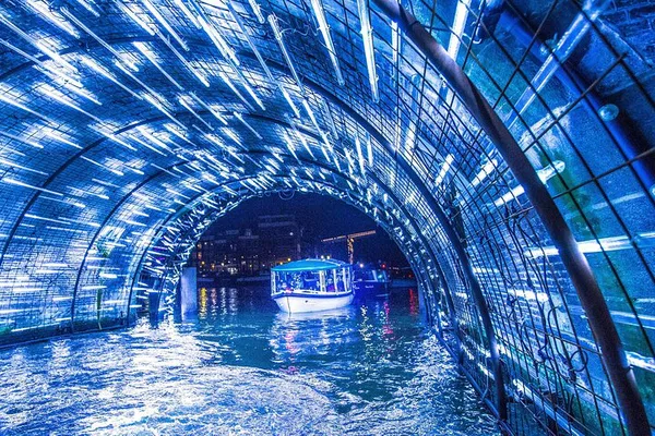 Amsterdam Light Festival: Luxury Canal Cruise - Illuminated Artistry!