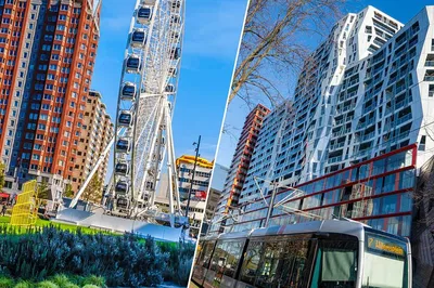 Unlock Rotterdam's Architectural Wonders: A Private Walking Tour