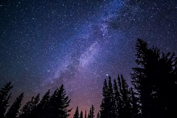 Stroll in the Stars: A Celestial Journey Awaits!