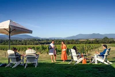 Yarra Valley Wine & Gin Tour: Champagne Lunch!