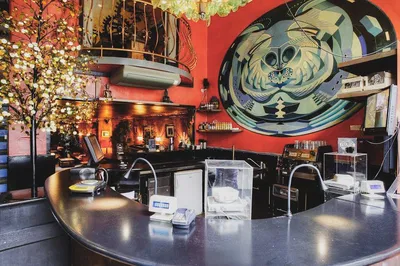 Amsterdam's Sinful Secrets: Red Light & Coffee Shop Private Tour