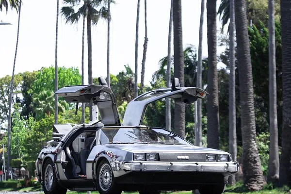 Back to the Future DeLorean Adventure: Drive a Movie Legend!