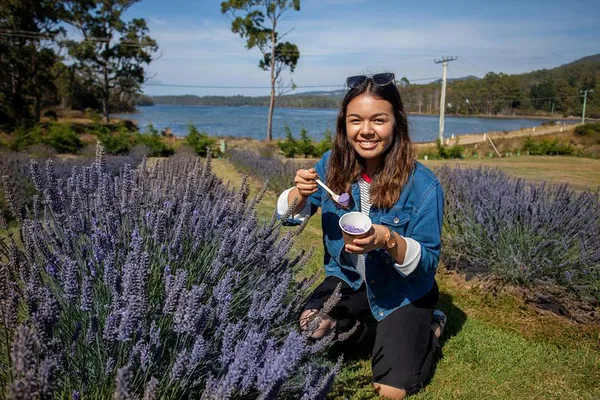 Port Arthur & Lavender: Active Day Tour from Hobart