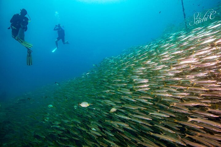 Racha Islands Scuba Discovery: Dive into Phuket's Underwater Paradise