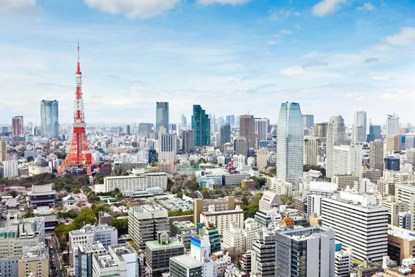 Tokyo Private Tour: See the City with a Local Guide