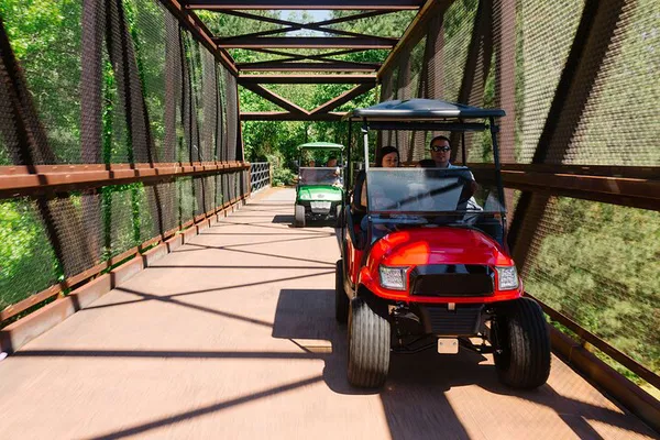 Peachtree City Golf Cart Trail Tour: Nature & Fun!