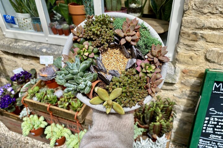 Experience Image img3