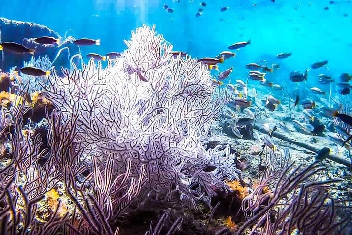 Experience Image img3