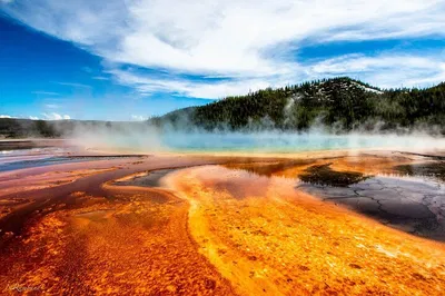Yellowstone & Grand Teton 3-Day Tour from Salt Lake