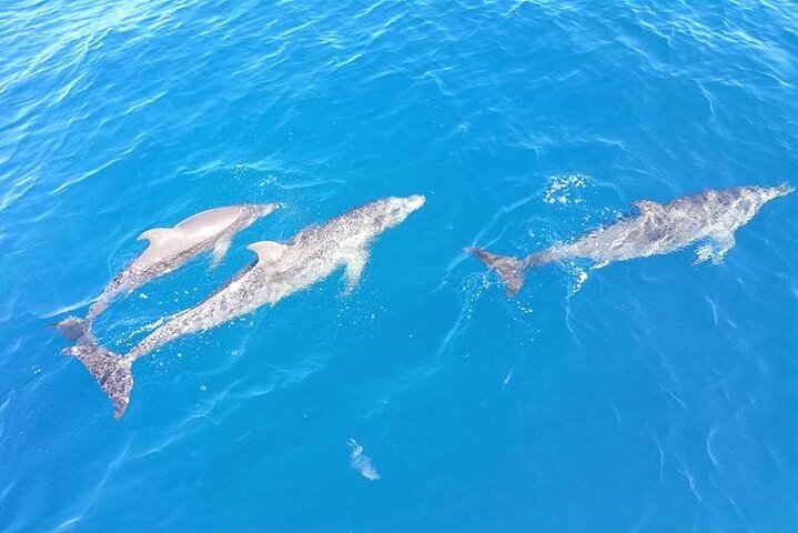 Experience Image img3