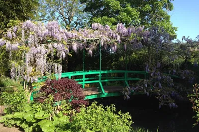Private Giverny Tour: Hotel Pick-Up from Paris