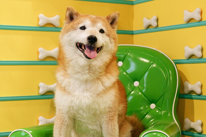 Experience Image img3