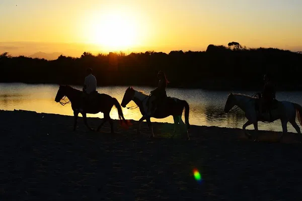 Sunset Horseback Adventure: Punta Cana's Tropical Trails & Beaches