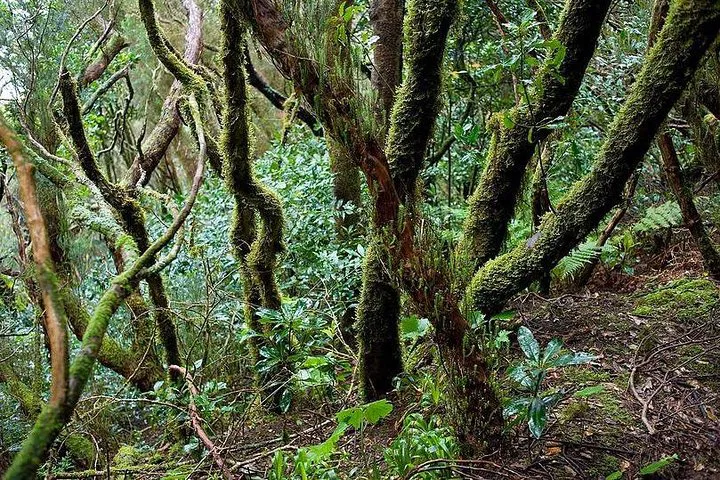 img0