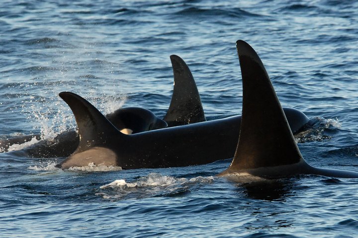 Experience Image img1