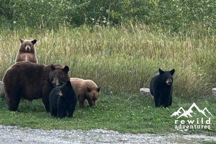 Experience Image img3