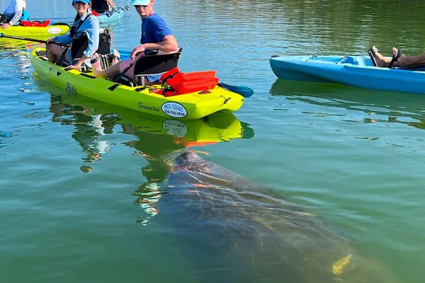 Bonita Springs Kayak Eco-Tour: Pedal to Paradise!