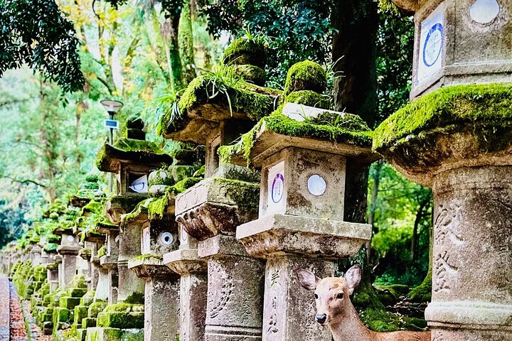 Experience Image img1