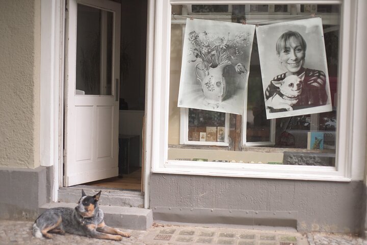 Experience Image img4