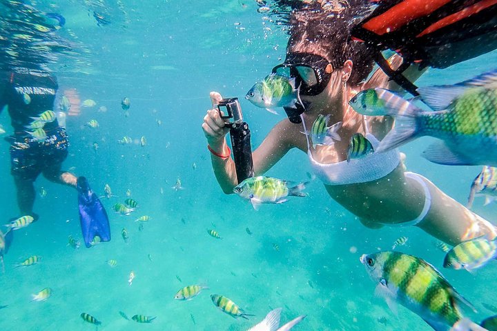 Phi Phi & Maya Bay Tour: Best Islands & Snorkeling!
