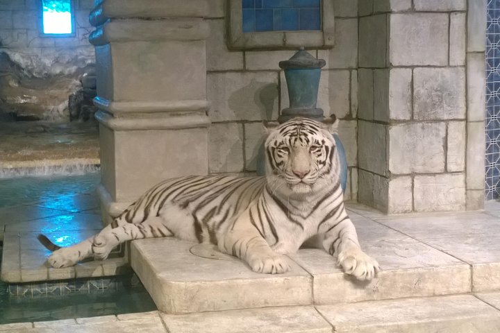 Experience Image img2