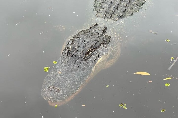 Experience Image img1