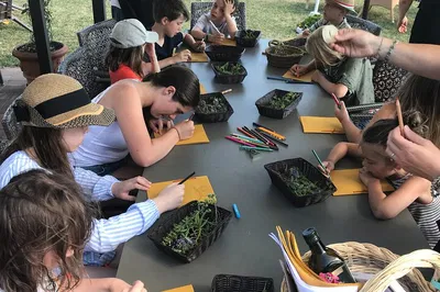 Kids' Herbal Lab: Make Aromatic Oils in Tuscany