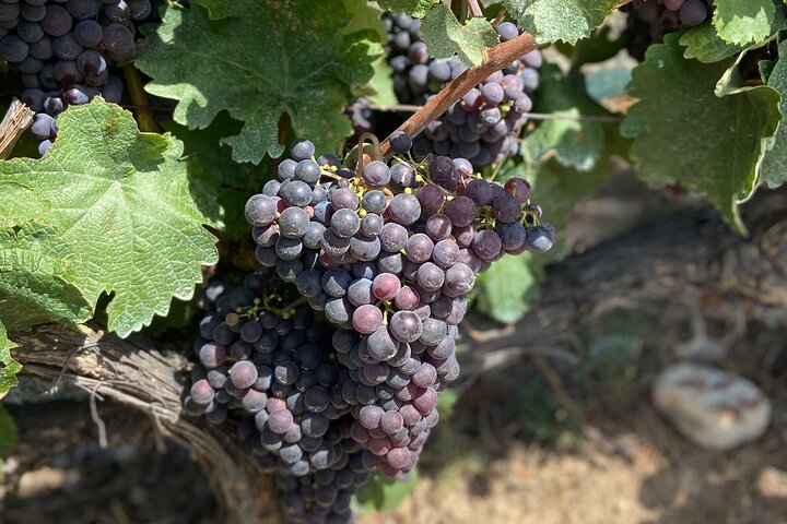 Experience Image img2