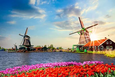 Luxurious Zaanse Schans: A Private Car Tour from Amsterdam