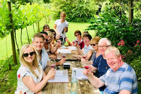 Tamborine Wine Tour: Gold Coast Hinterland Escape