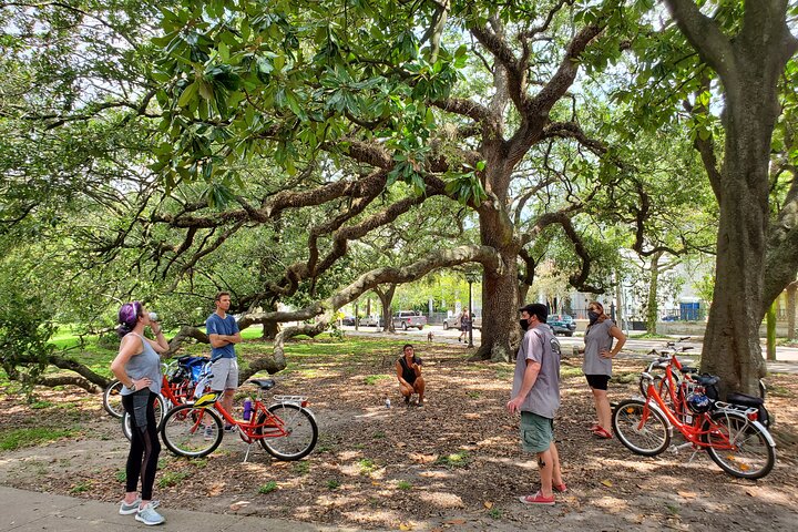 Discover New Orleans' Hidden Gems: Garden District & Cemetery Bike Tour!