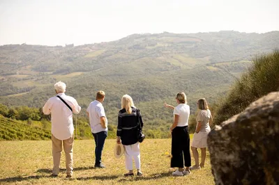 Montalcino Winery Tour: Sip Tuscan Sunsets & Savory Wines