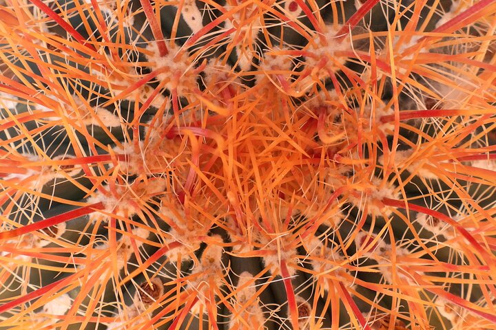 Experience Image img3