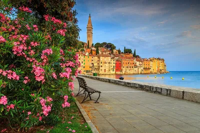 Rovinj Private Walking Tour: Uncover Majestic Sites